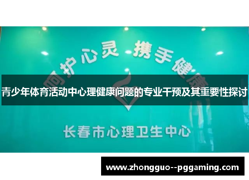 青少年体育活动中心理健康问题的专业干预及其重要性探讨