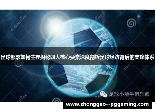 足球部落如何生存揭秘四大核心要素深度剖析足球经济背后的支撑体系