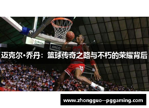 迈克尔·乔丹：篮球传奇之路与不朽的荣耀背后