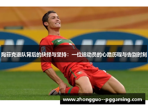 陶菲克退队背后的抉择与坚持：一位运动员的心路历程与告别时刻