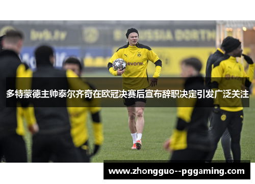 多特蒙德主帅泰尔齐奇在欧冠决赛后宣布辞职决定引发广泛关注